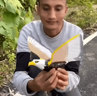 Majestic Eagle Flying Toy